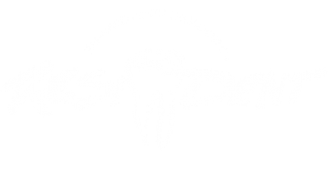 Resident - Zahnärzte im Zentrum Berg TG Logo